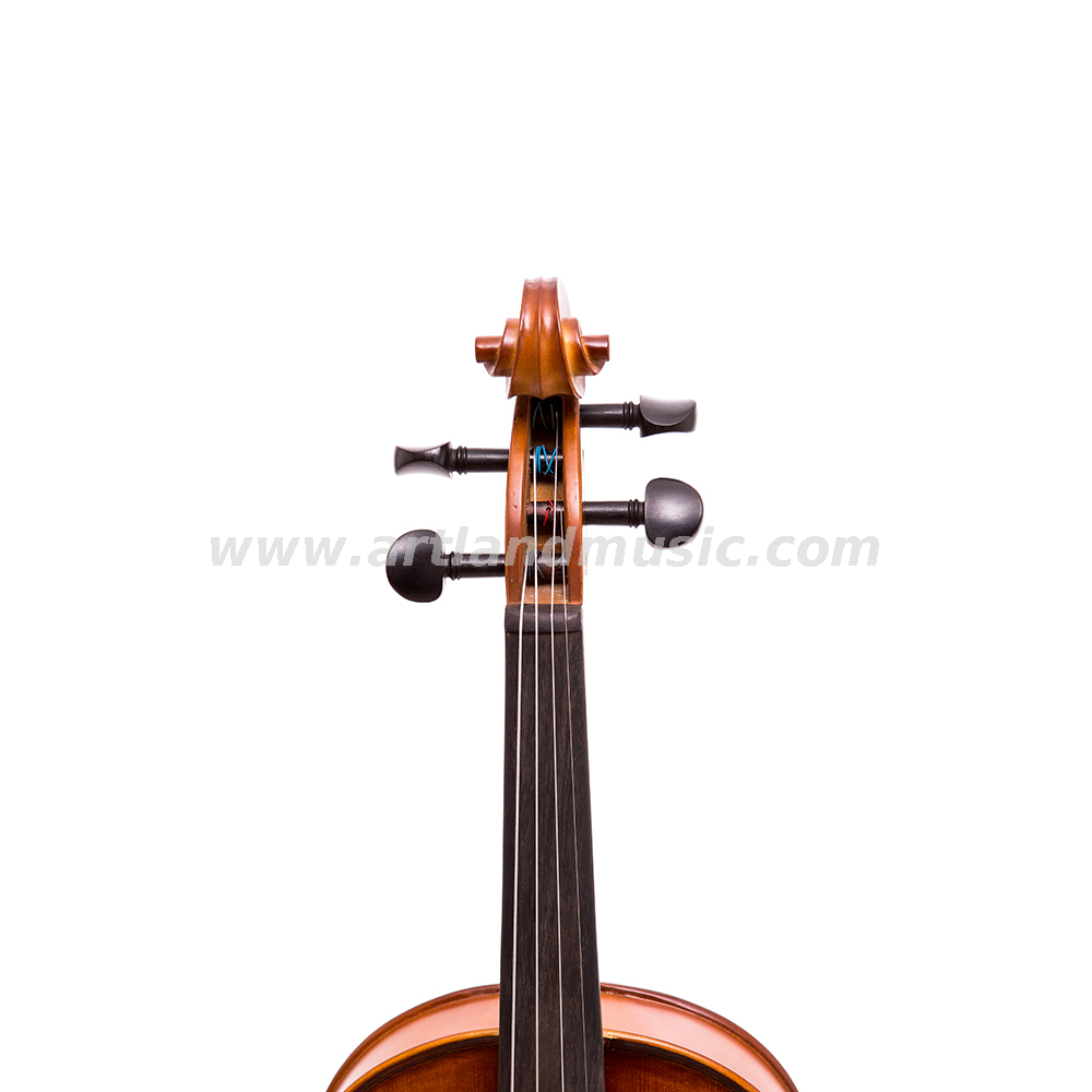 Ajuste de violín de estudiante sólido de ajuste de ébano (GV104A)