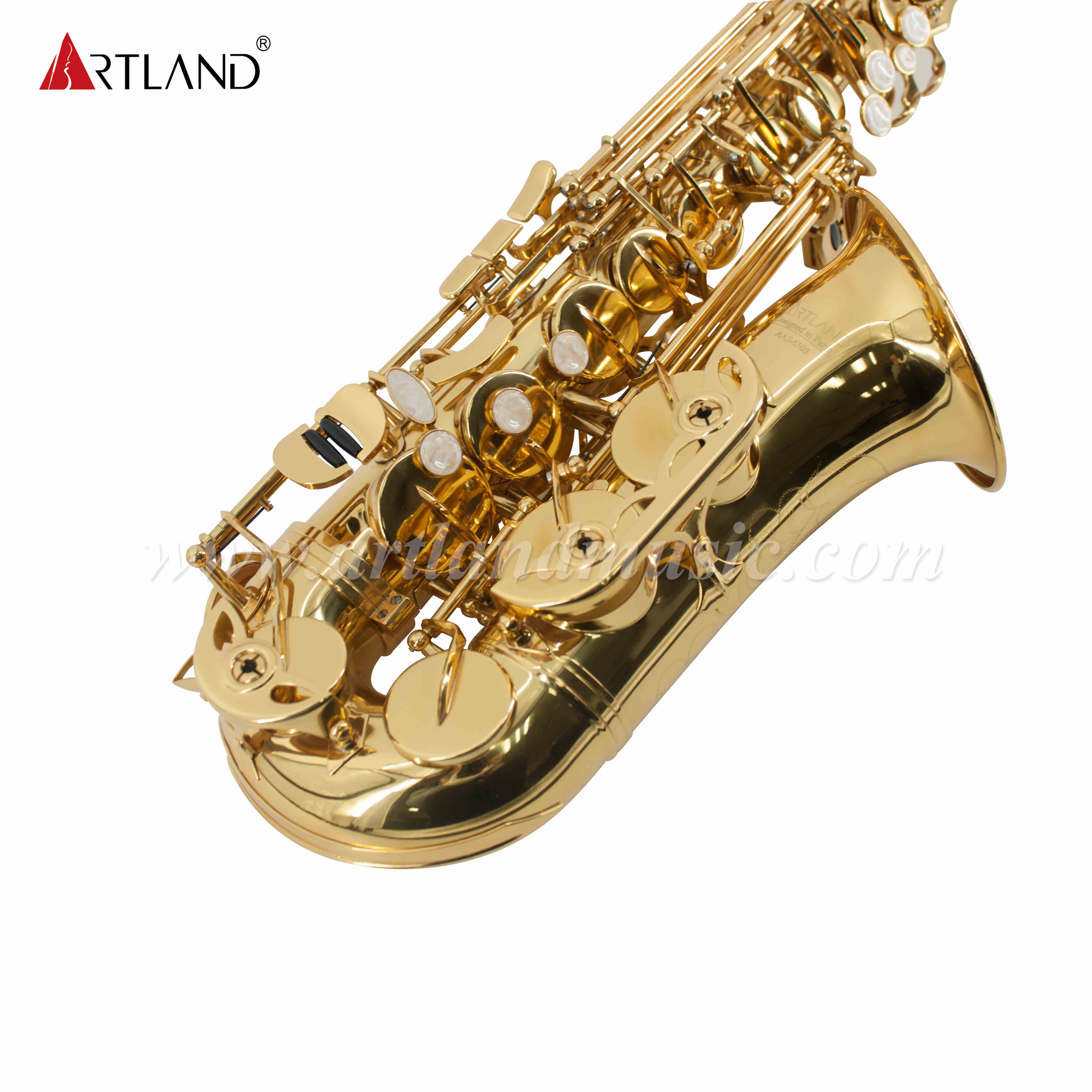Saxofón Alto Lacado en Oro Eb (AAS6503)