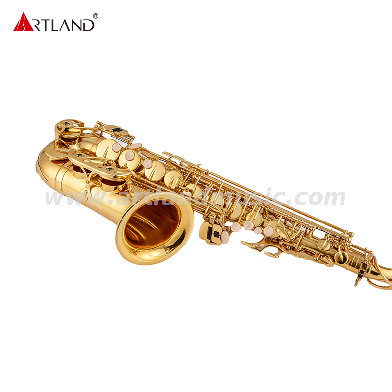 Saxofón de laca de oro para principiante (AAS3505G)