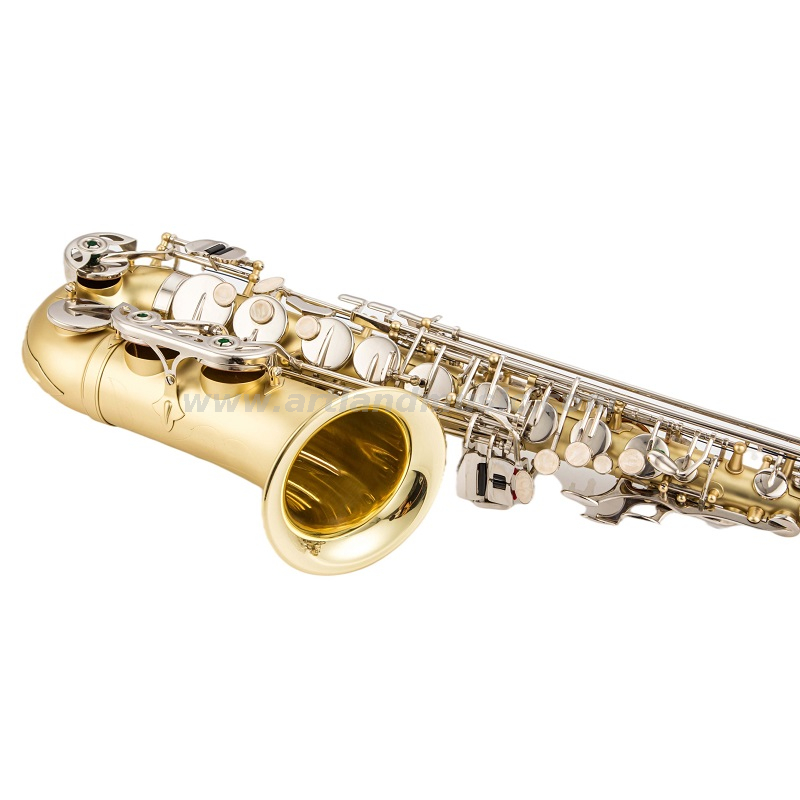Eb Alto Saxofon Matt Gold Lacquer Hand Body con llave de níquel (AAS5505GN)