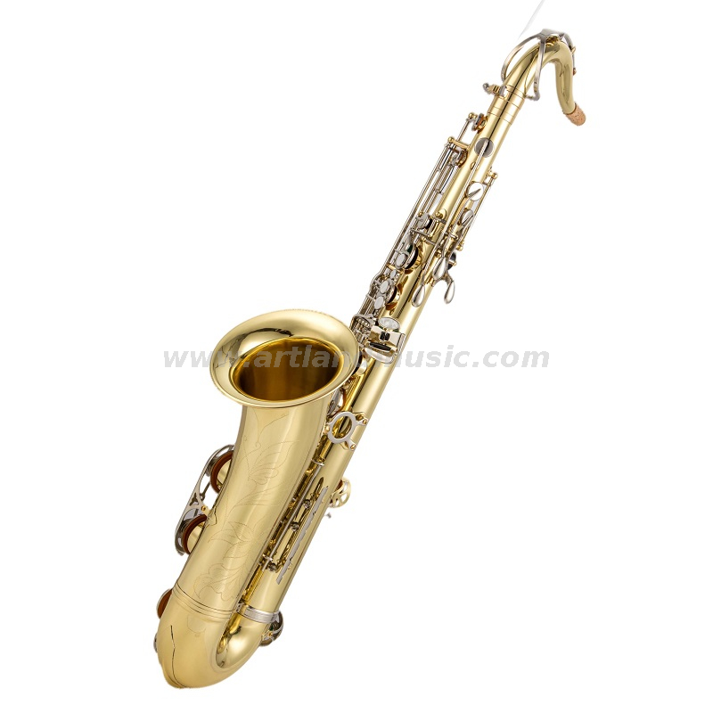 Saxofón tenor Llave de níquel lacado en oro (ATS5505GN) 