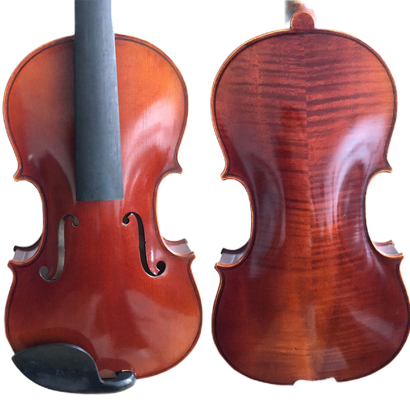 Viola antigua avanzada (AA100) cinco colores